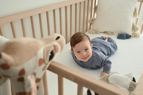 Cozy Nest Comfort & Safety